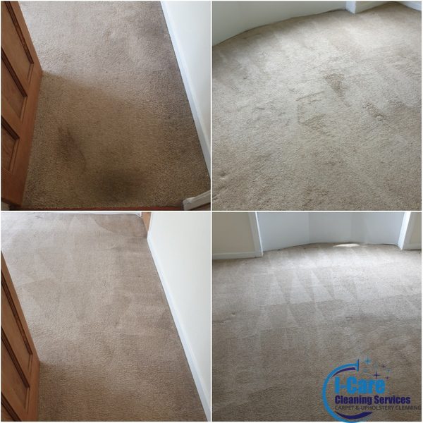Carpet Cleaning Hamilton